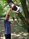Quoi de mieux quun arbre solide pour y installer un projecteur  lumire du jour ?   Olivier Vaughn